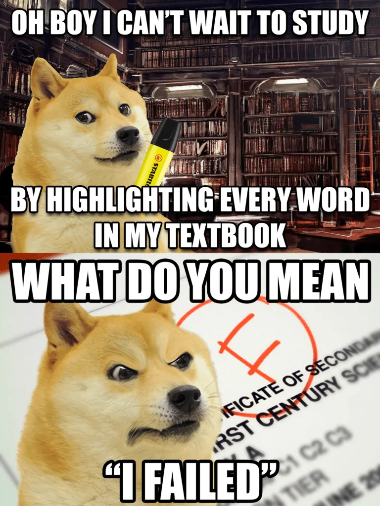 le efficient studying is just around the corner