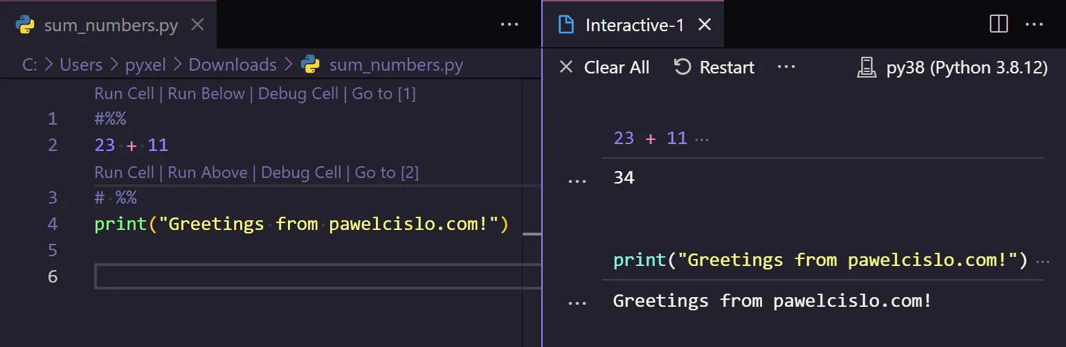 VS Code Interactive Python